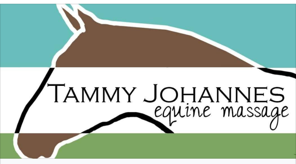 Insured, certified, expert horse massager.