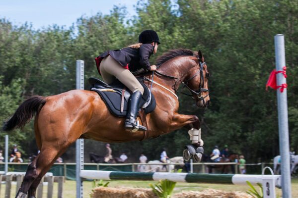 A woman jockey skillfully jumps with her performance horse in an outdoor equestrian competition.