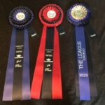 equine massage, sport horse, performance